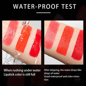 MIXDAIR Matte Waterproof Lipsticks